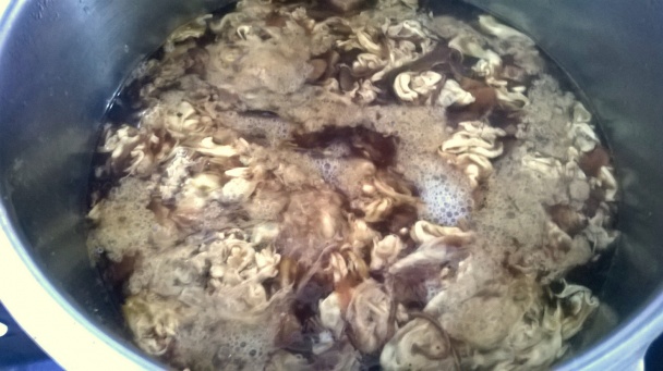 Ostro-kyslá čo dom dal (fotorecept) - obrázok 10