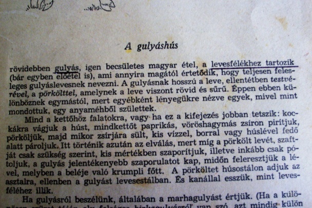 Bravčový guláš zo Szegedu - obrázok 4