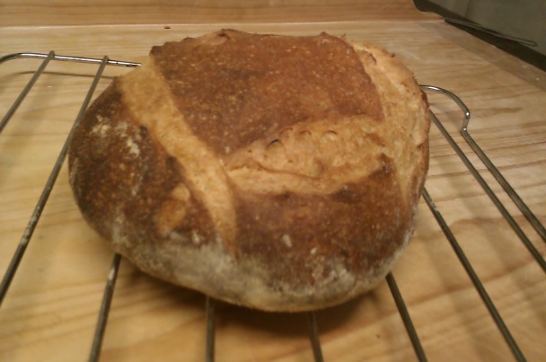 Kváskový domáci chlieb - obrázok 4