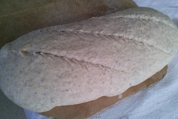 Kváskový chlieb z múky z veterného mlyna (fotorecept) - obrázok 3