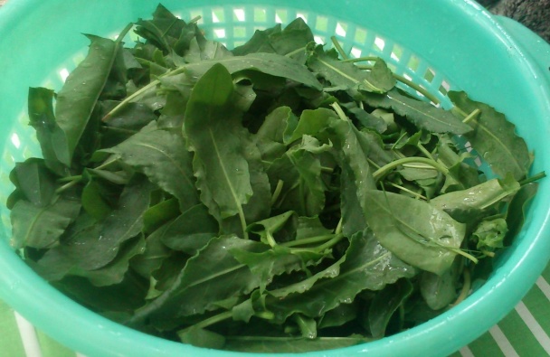 Šťaveľová polievka s pórom a zemiakmi (alebo aj bez) - obrázok 4