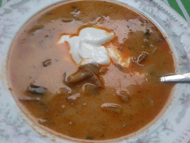 Polievka z jarnej cibuľky, hlivy a mladého kalerábu (fotorecept) - obrázok 5