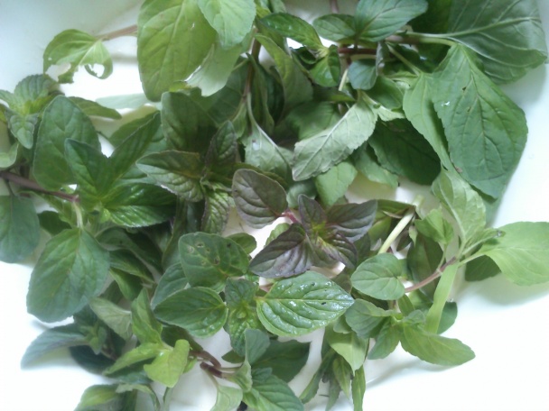 Gaštanová omeleta pečená v rúre (fotorecept) - obrázok 9