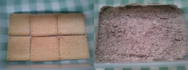 Zmrzlinová torta 4v1 (fotorecept) - obrázok 3