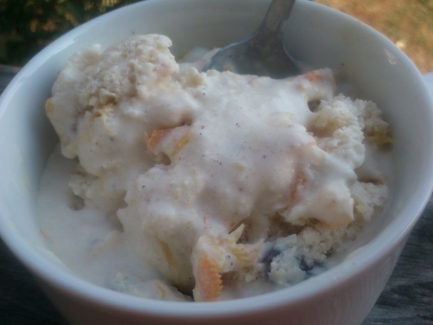 Pomarančovo-perníková zmrzlina (fotorecept) - obrázok 7