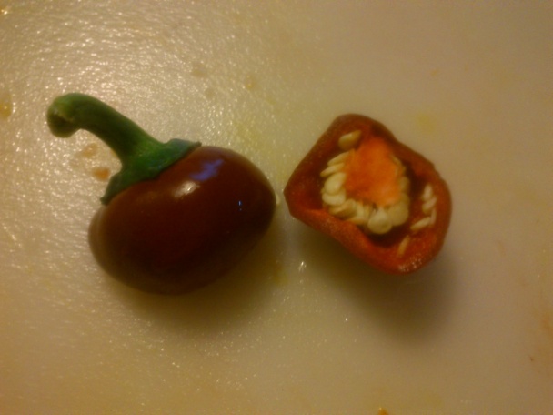 Kuracie soté s indickou uhorkou (fotorecept) - obrázok 8