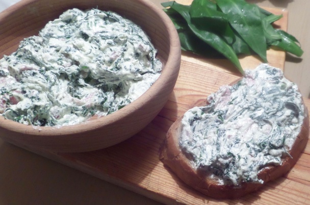 Slaninkovo-tvarohová nátierka s medvedím cesnakom (fotorecept) - obrázok 6