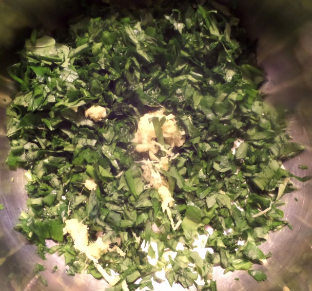 Medvedí cesnak v mede so zázvorom (fotorecept) - obrázok 3