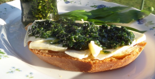 Medvedí cesnak v mede so zázvorom (fotorecept) - obrázok 5