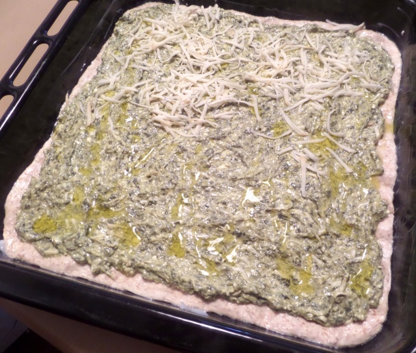 Šťaveľový posúch (fotorecept) - obrázok 6