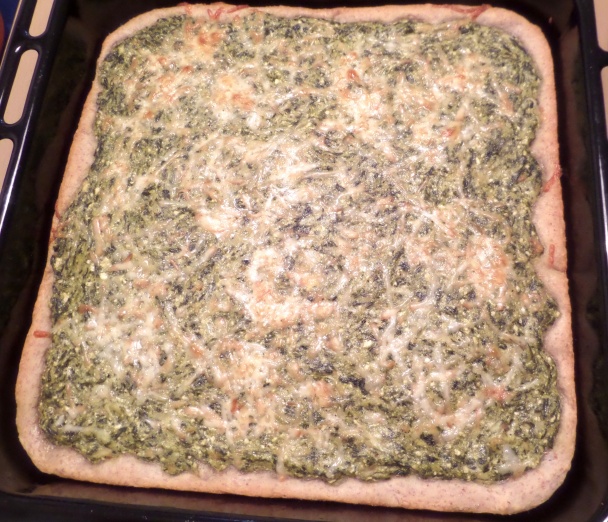 Šťaveľový posúch (fotorecept) - obrázok 7