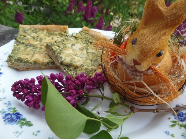 Šťaveľový posúch (fotorecept) - obrázok 8