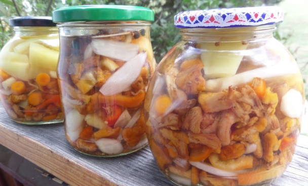 Nadstavené zavárané kuriatka - obrázok 2