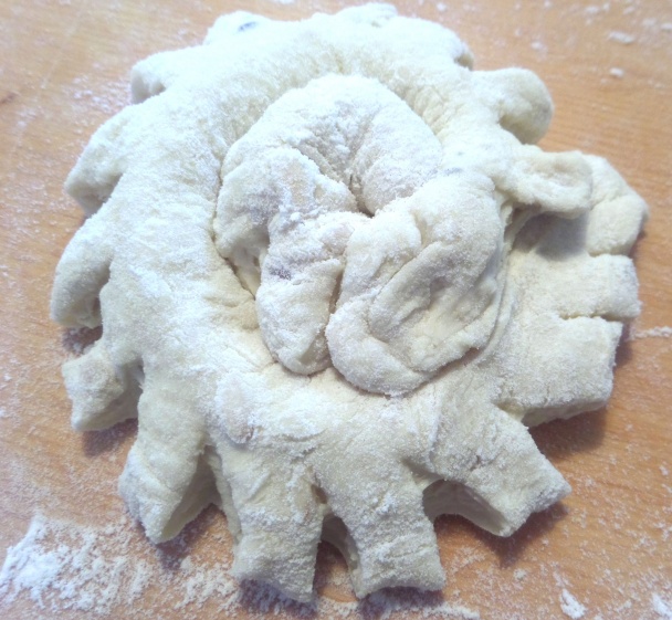 Ozubené kolesá (fotorecept) - obrázok 4