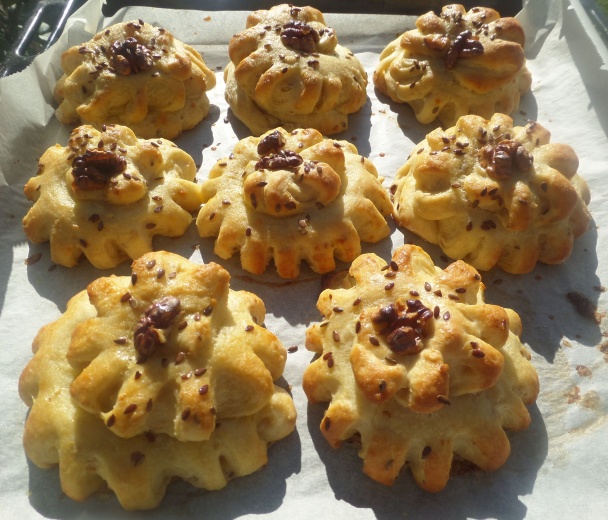 Ozubené kolesá (fotorecept) - obrázok 6