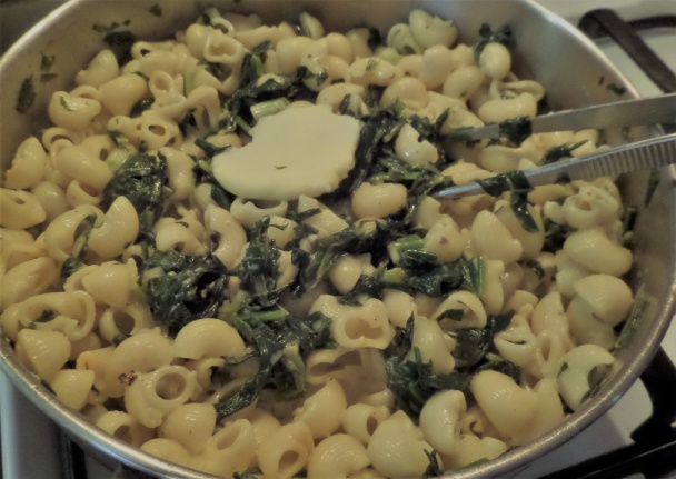 Rigati s omáčkou z medvedieho cesnaku - obrázok 3