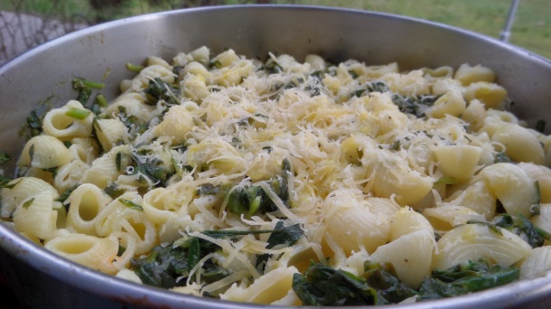 Rigati s omáčkou z medvedieho cesnaku - obrázok 4