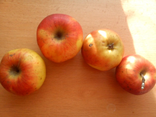 Jablková detská výživa pre moju sestričku (fotorecept) - obrázok 1