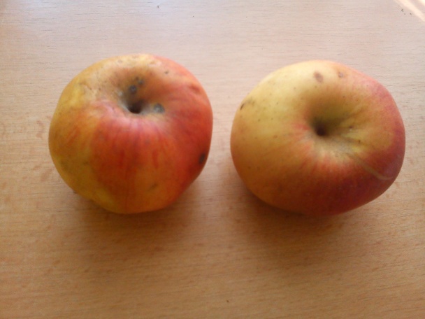 Ovsená večera alebo moje rýchle müsli (fotorecept) - obrázok 1