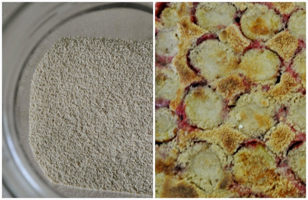 Slivkový koláč s bielym makom - obrázok 4