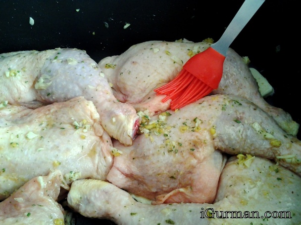 Pivové kuriatko - obrázok 2