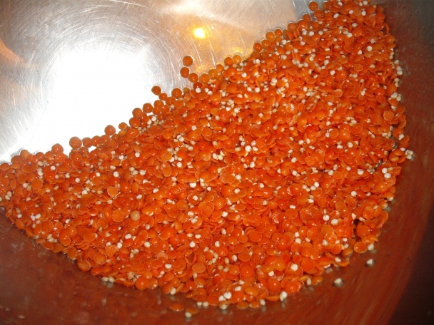 Zemiaky s ĎPH (fotorecept) - obrázok 3