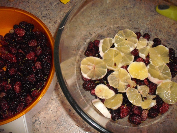 Morušovo-citrónový džem (fotorecept) - obrázok 1