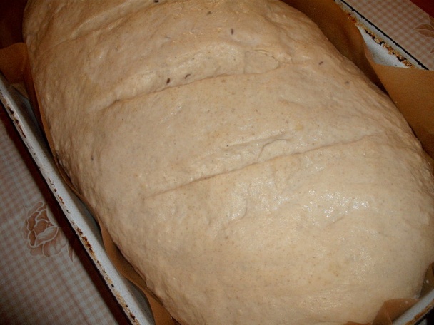 Chlebík od mamičky - obrázok 7