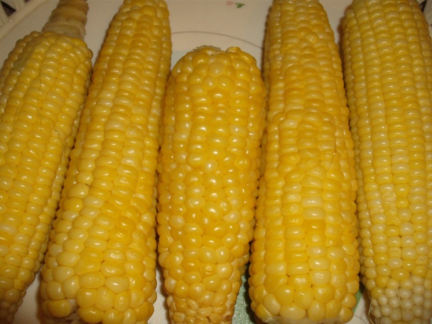 Šalát Július - obrázok 1