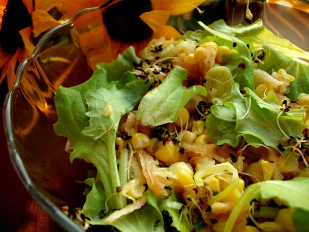 Šalát Július - obrázok 2