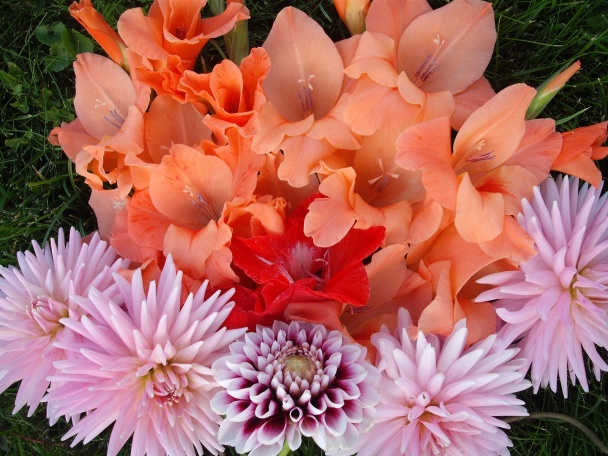 Maďarský krémeš (fotorecept) - obrázok 6