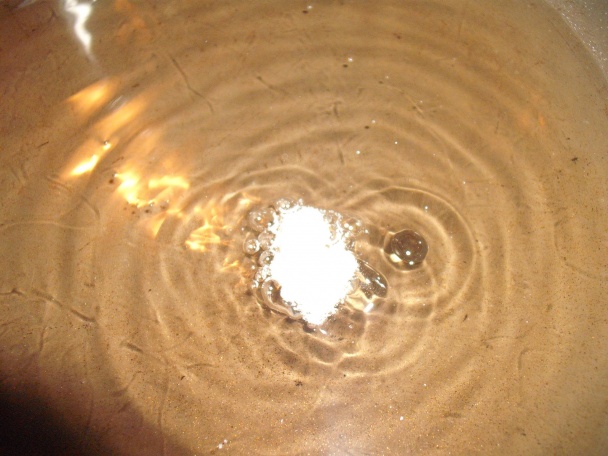 Bravčové medailónky Orly (fotorecept) - obrázok 7