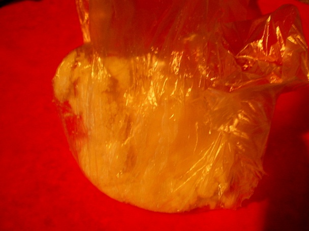 Domáci marcipán (fotorecept) - obrázok 6