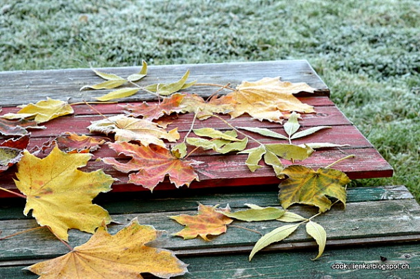 Šamrole s jablkovou penou (fotorecept) - obrázok 11