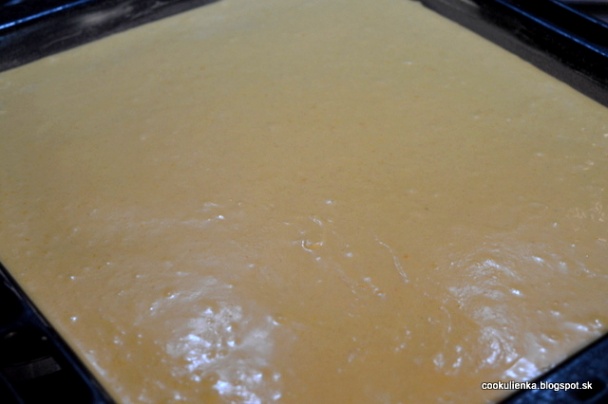 Rezy Palermo (fotorecept) - obrázok 2