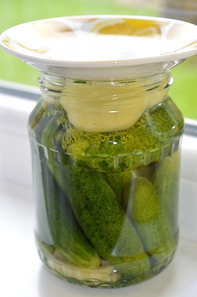 Uhorky kvasené so zemiakom (fotorecept) - obrázok 4