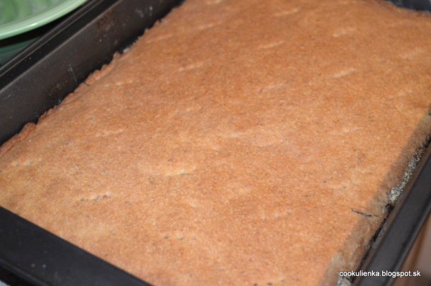 Žerbo rezy (fotorecept) - obrázok 6