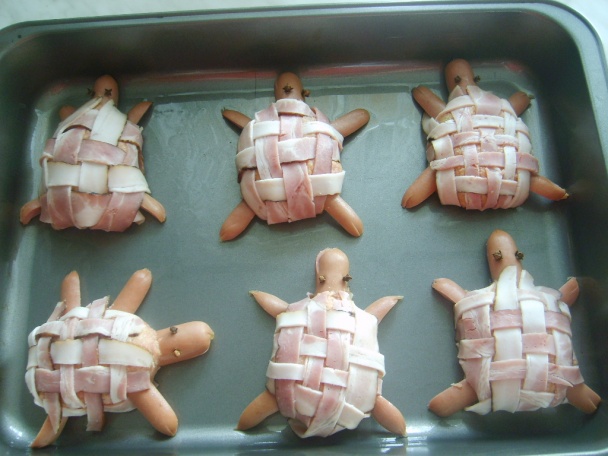 Korytnačky - obrázok 3