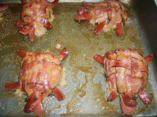 Korytnačky - obrázok 4