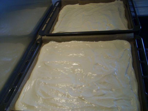 Narodeninová korytnačka (fotorecept) - obrázok 1