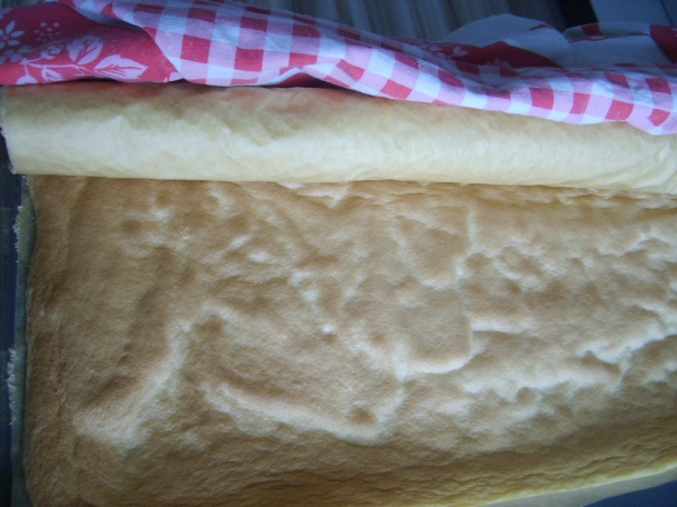 Narodeninová korytnačka (fotorecept) - obrázok 2