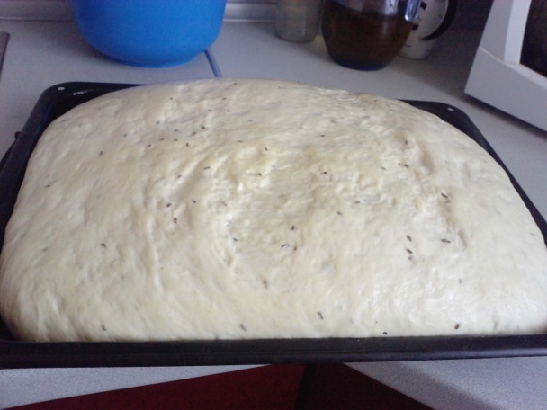 Maxichlebík - obrázok 1