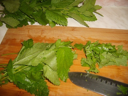 Sirup z medovky (fotorecept) - obrázok 3