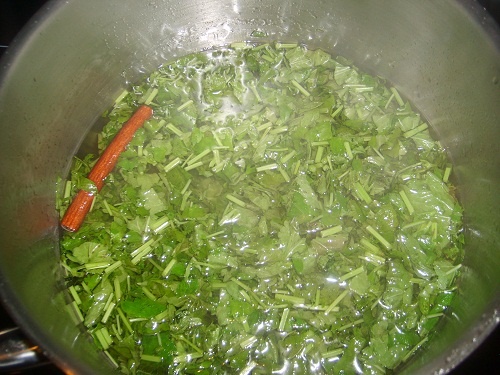 Sirup z medovky (fotorecept) - obrázok 4