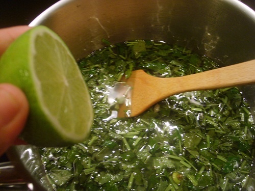 Sirup z medovky (fotorecept) - obrázok 5