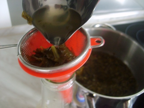 Sirup z medovky (fotorecept) - obrázok 6