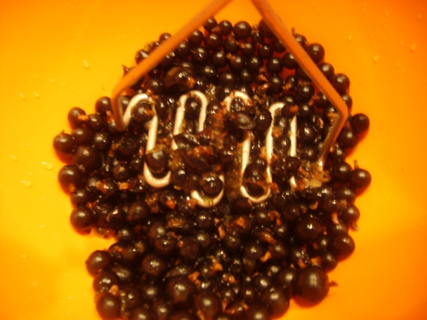 Sirup z čiernych ribezlí (fotorecept) - obrázok 2