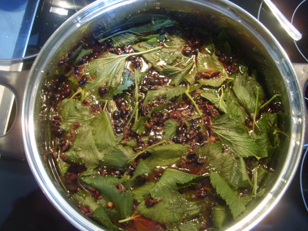 Sirup z čiernych ribezlí (fotorecept) - obrázok 6