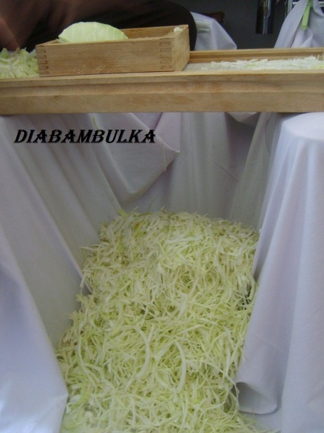 Sudová kapusta ( fotorecept ) - obrázok 1