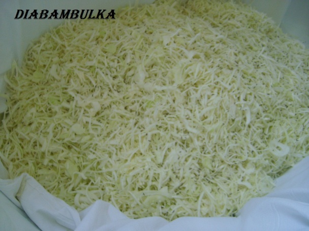 Sudová kapusta ( fotorecept ) - obrázok 2